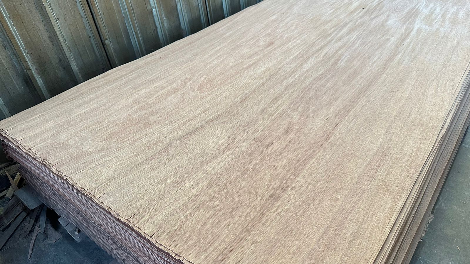 WhatsApp Image 2024-09-10 at 13.37.13_1799256b